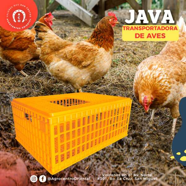 Java transportadora