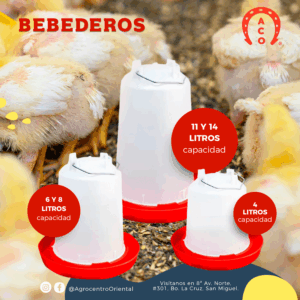 bebederos de pollo