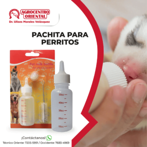 Pachita para perritos