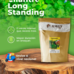 Semillas de Cilantro Long Standing