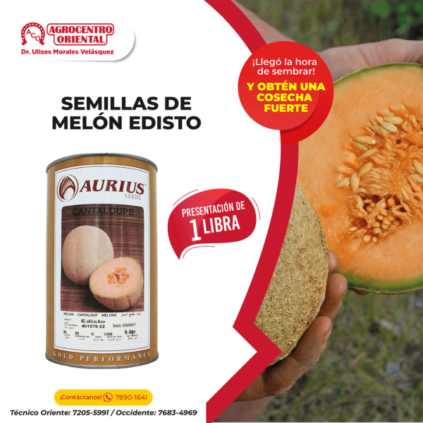 Semillas de Melón Edisto