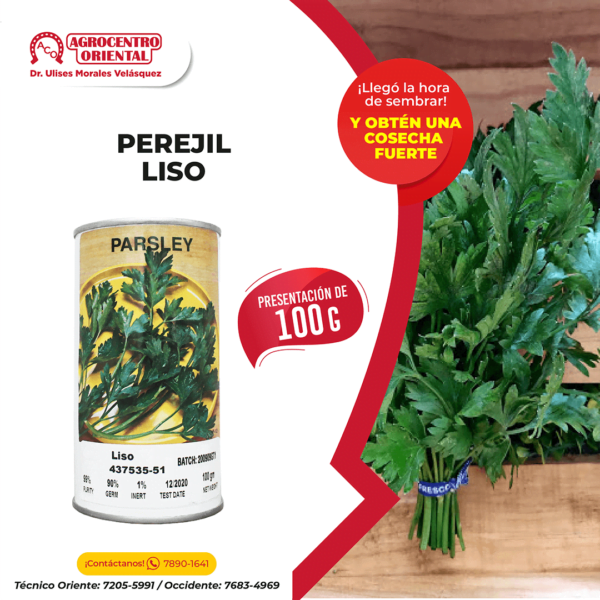 Semilla de Perejil Liso - 100 gramos