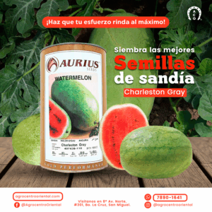 Semillas de Sandía Charleston Gray 1 libra