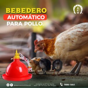 Bebedero automático