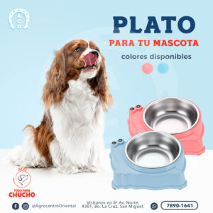 Plato/Comedero perro