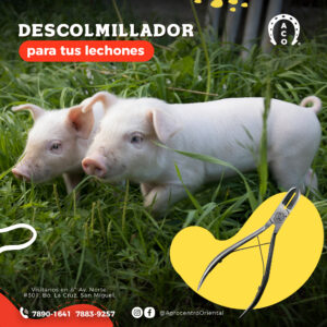 Descolmillador