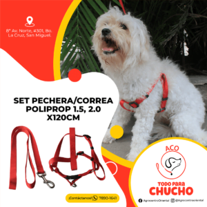 Set pechera-correa poliprop