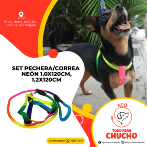 Set pechera_correa neón 1.0