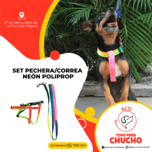 Set pechera_correa neón poliprop