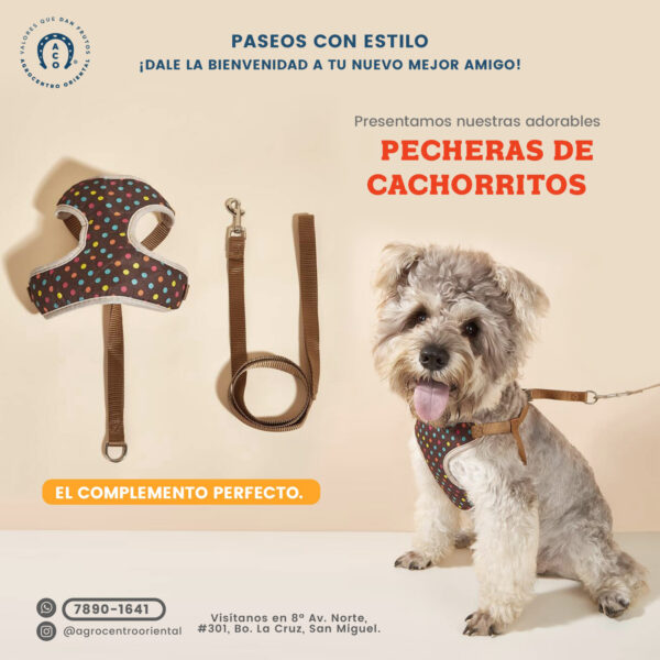 Pechera Tipo camisa