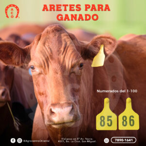 Set aretes para ganado numerados del 1-100