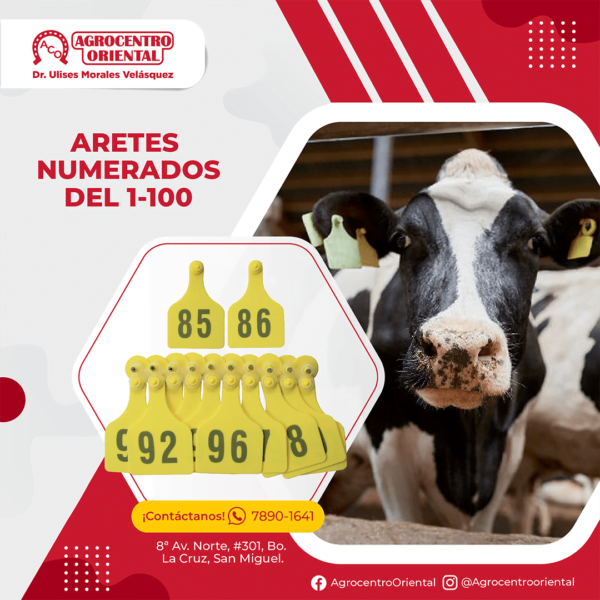 Aretes numerados del 1-100