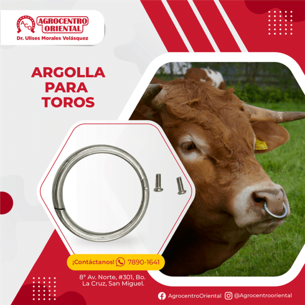 Argolla para toro