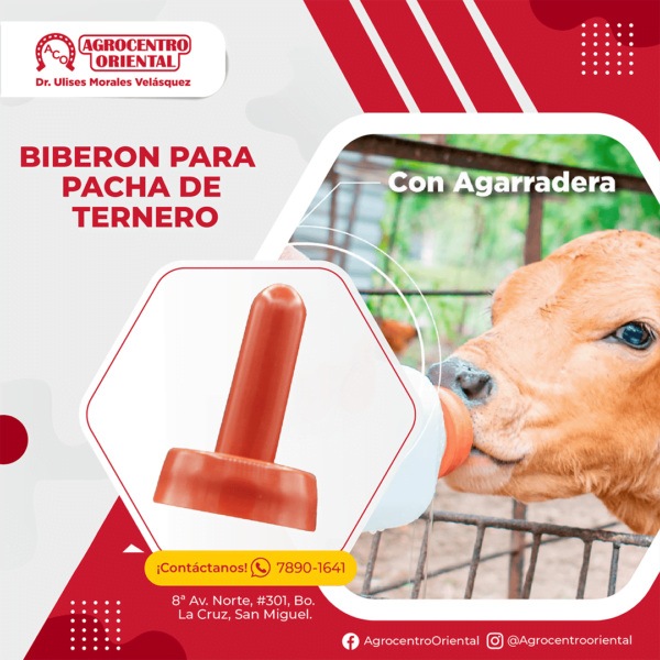 Biberon para pacha de ternero