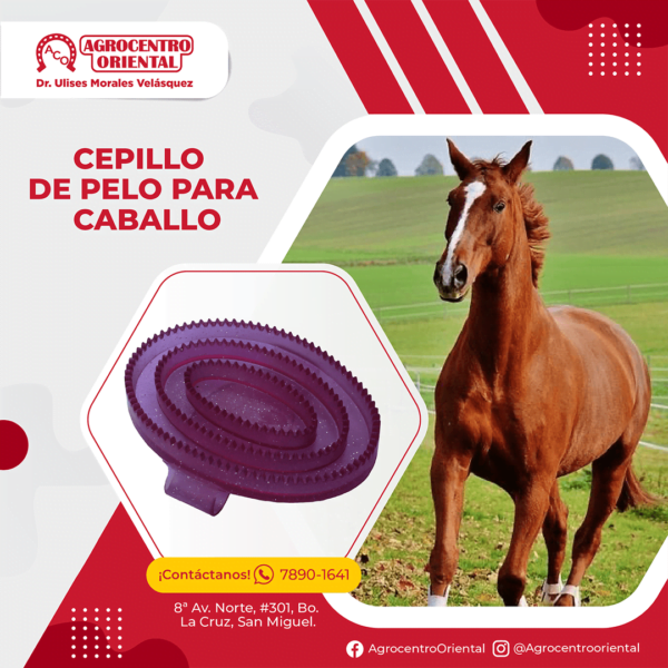 Cepillo de pelo para caballo