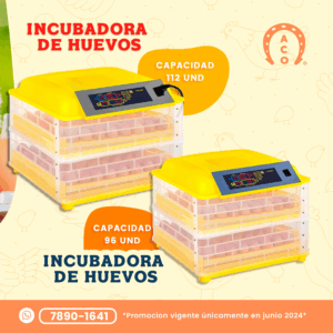 Incubadora para huevos