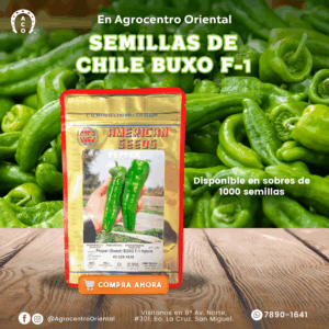 SEMILLA DE CHILE DULCE BUXO F1  HYB 1,000 SEMILLAS