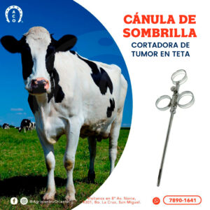 Cánula de sombrilla cortador de tumor de teta