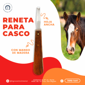 Reneta para casco