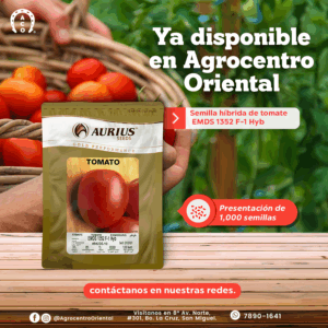 SEMILLA DE TOMATE EMDS 1352 F-1 HYB 1,000 SEMILLAS