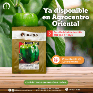 SEMILLA DE CHILE DULCE SWEET EMB 960 F-1 HYB 1,000