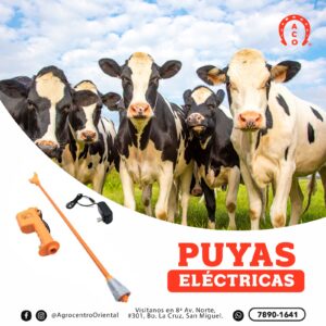 PUYA ELECTRICA