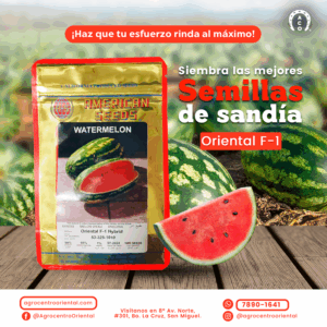 SEMILLA DE SANDIA ORIENTAL F1 HYB 1,000 SEMILLAS