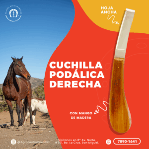 Cuchilla podálica Derecha