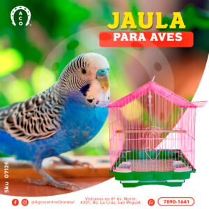 JAULA PALACIO