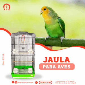 JAULA GRANDE CON COLUMPIO DE COLORES