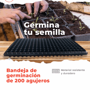 Bandeja de germinación