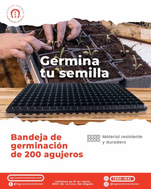 Bandeja de germinación