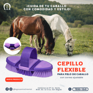 CEPILLO PARA CABALLO