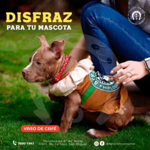 DISFRAZ DE CAFE