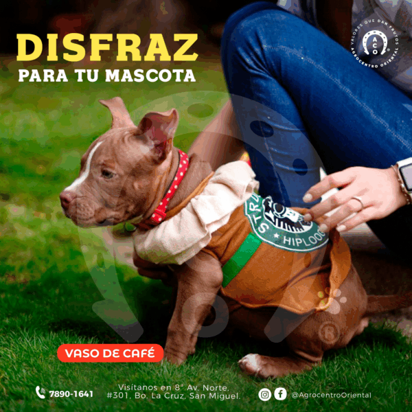 DISFRAZ DE CAFE