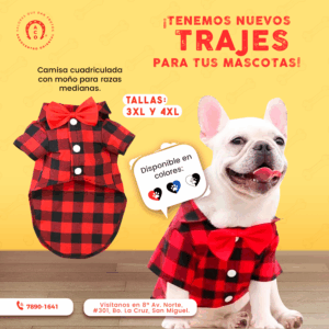 CamisaConMoño