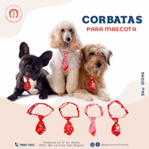 Corbatas