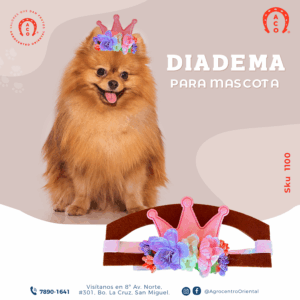 Diadema para perro
