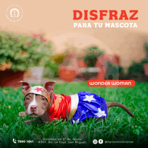 Disfraz de la mujer maravilla