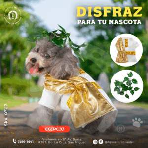Traje de egipcio
