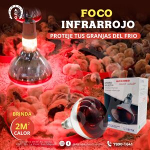 FOCO INFRARROJO