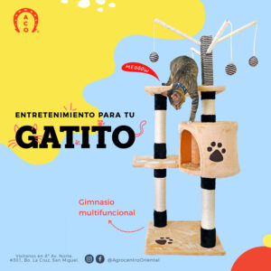 Gimnasio de gato