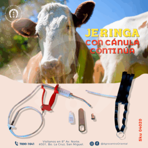 jeringaCanulaContinua