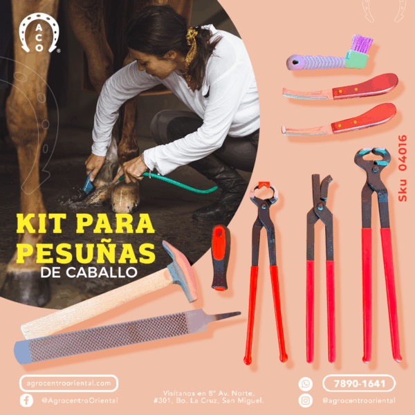 Kit para pesuña de caballo