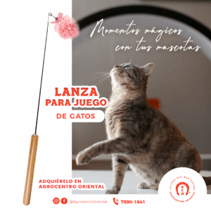 LanzaDeJuegoParaGatos
