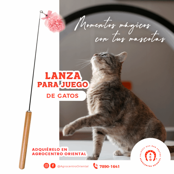 LanzaDeJuegoParaGatos