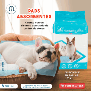 PADS ABSORBENTE