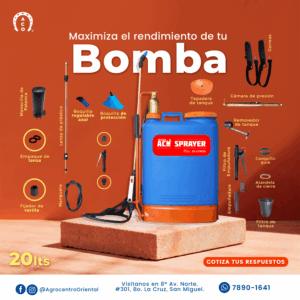 Repuestos de bomba