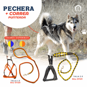 SetPecherayCorrea