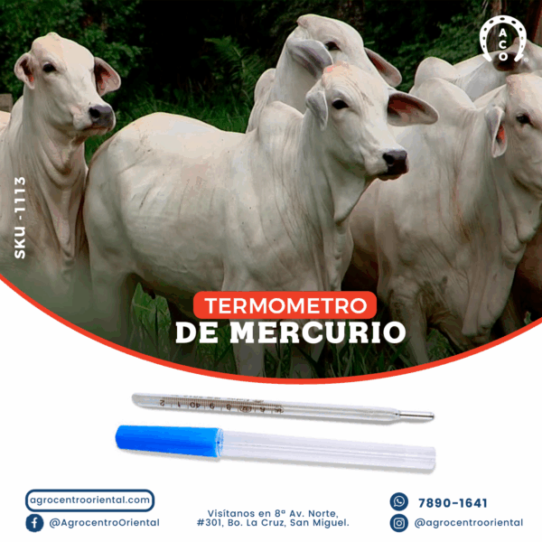 Termómetro de mercurio